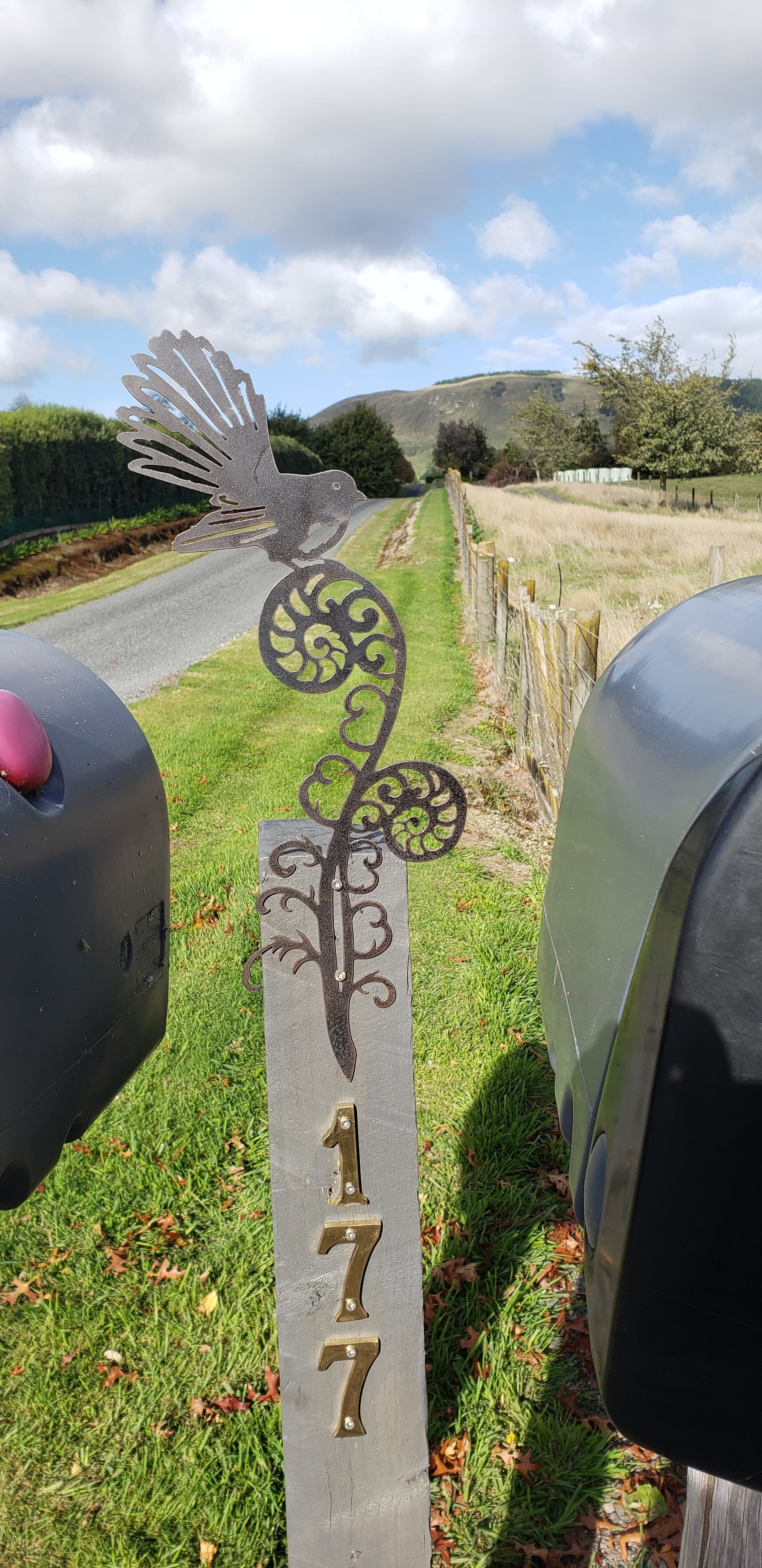 Scenery around Fantail Fields