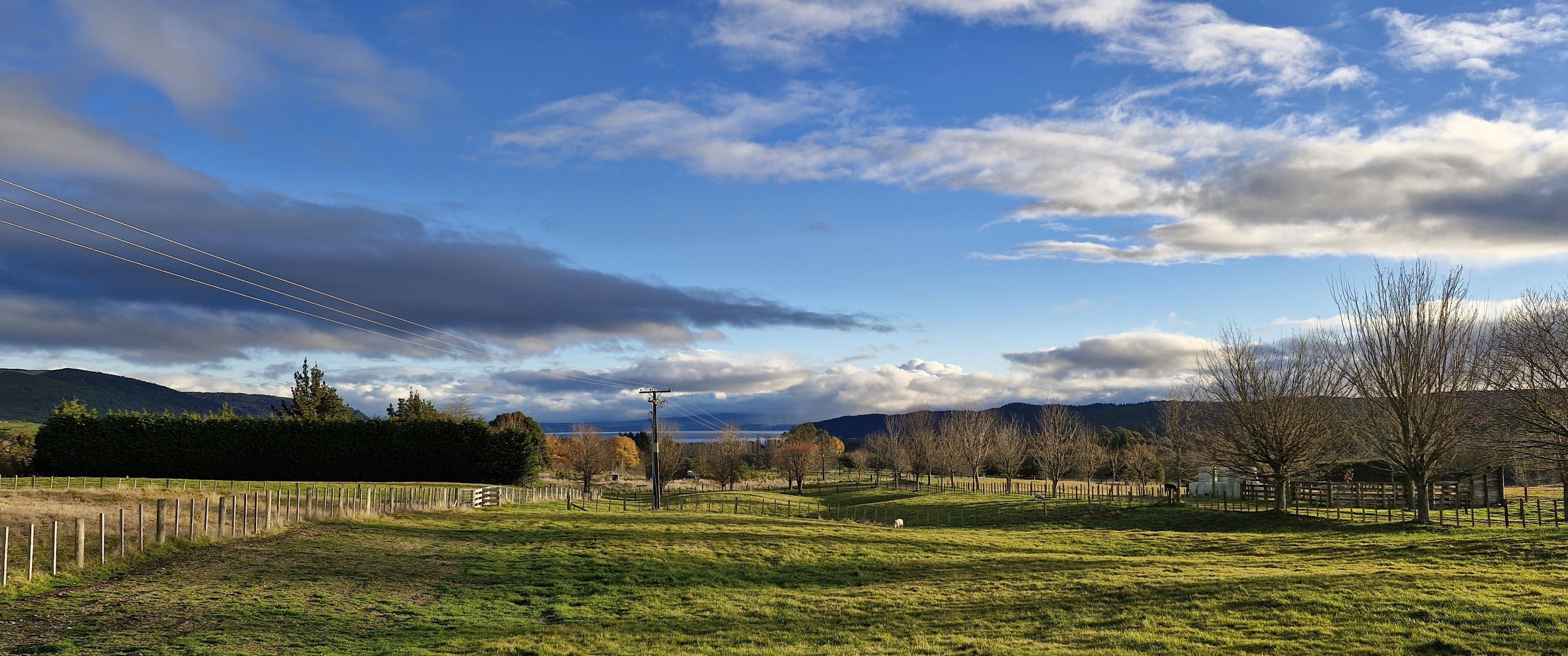 Paddocks and lake view